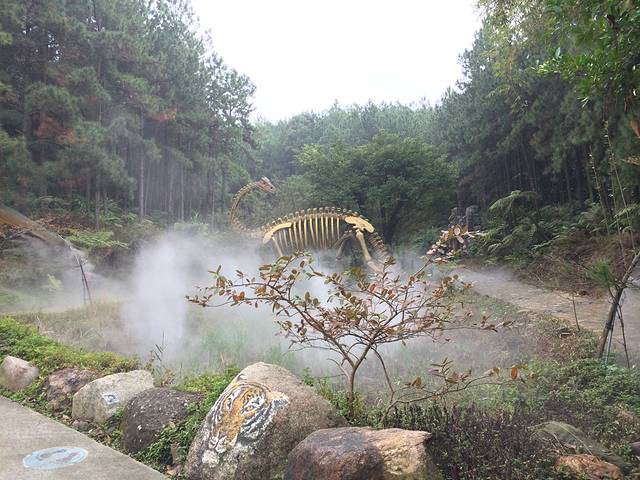 森波拉奇妙世界