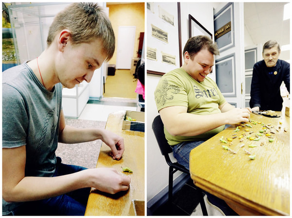 摩尔曼斯克州立博物馆图片