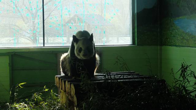 石家庄市动物园