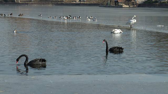 石家庄市动物园