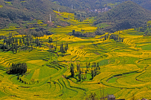 罗平旅游景点攻略图