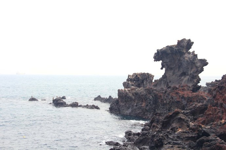 2017夏季最高气温33.5℃,冬季最低气温1℃_龙