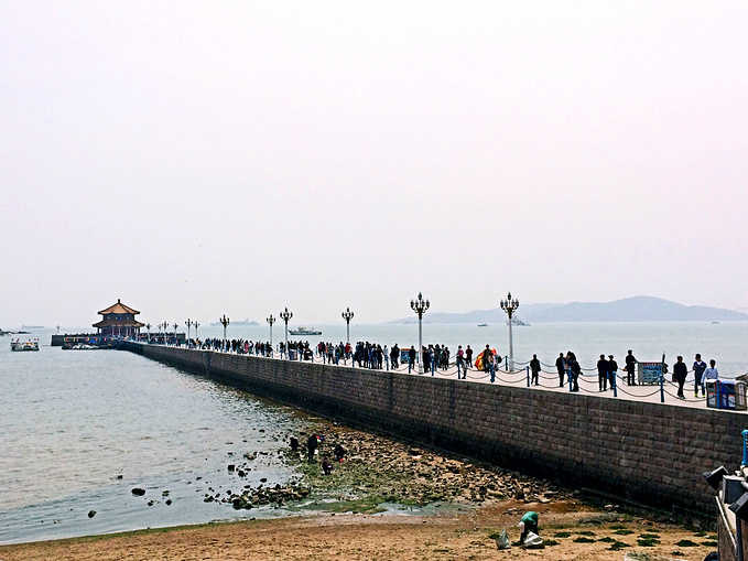 春暖花开去看海-青岛旅游攻略-游记-去哪儿攻略