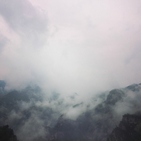 "站在山上看着飘飘渺渺的云海整个人都置身在仙境一般。感谢云台山让我感受到了一个不一样的世界_峰林峡"的评论图片