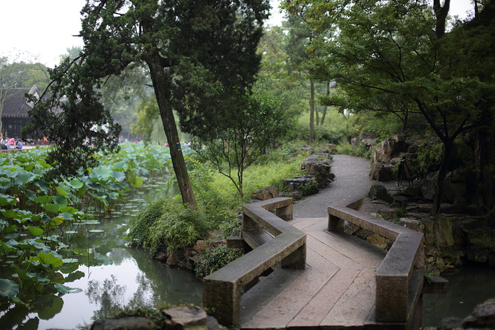 园南还建有苏州园林博物馆是国内唯一的园林专题博物馆相传此花只开于