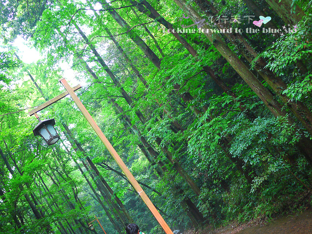 .力,然后用打车软件叫了出租车回酒店,回头看上