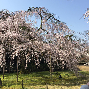 醍醐寺旅游景点攻略图