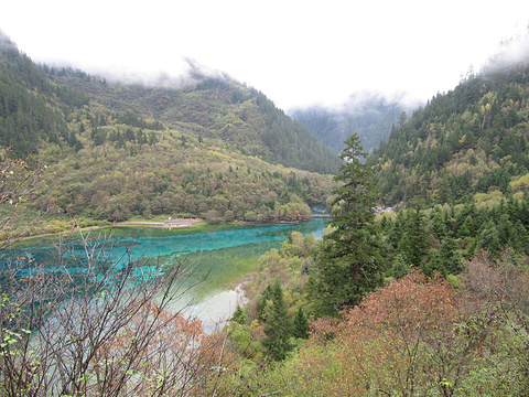 九寨沟-五花海旅游景点攻略图