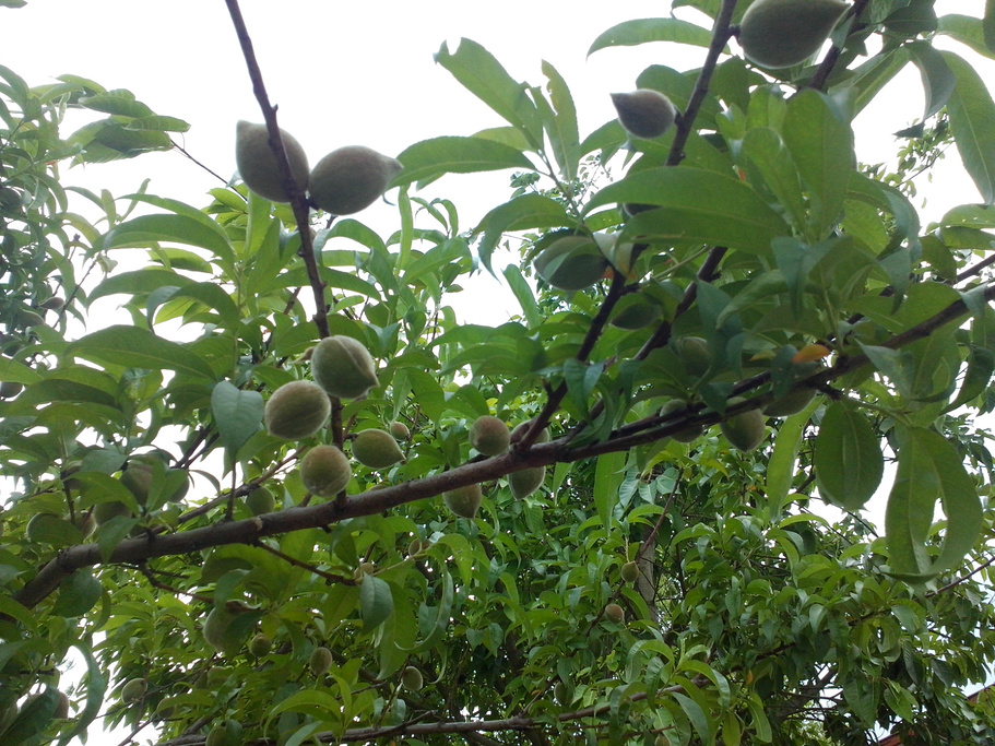 弥勒湖泉生态园