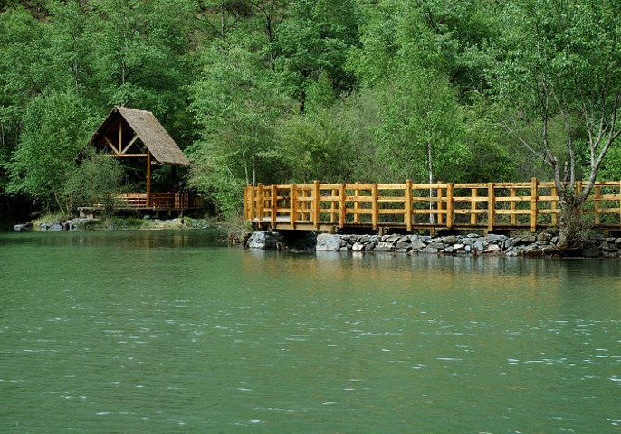 花永远是大自然最美的一个主角