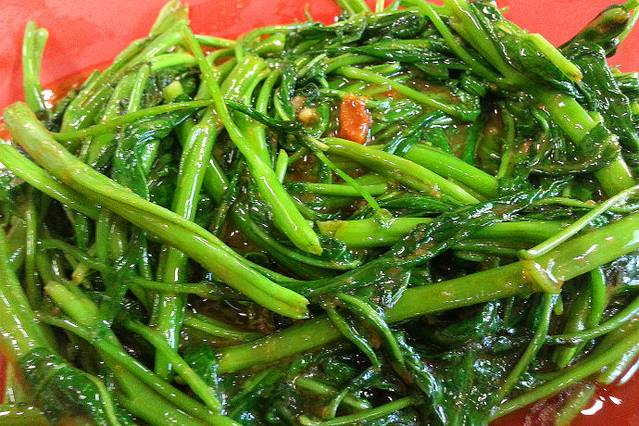 心新相印--新加坡、印尼自由行