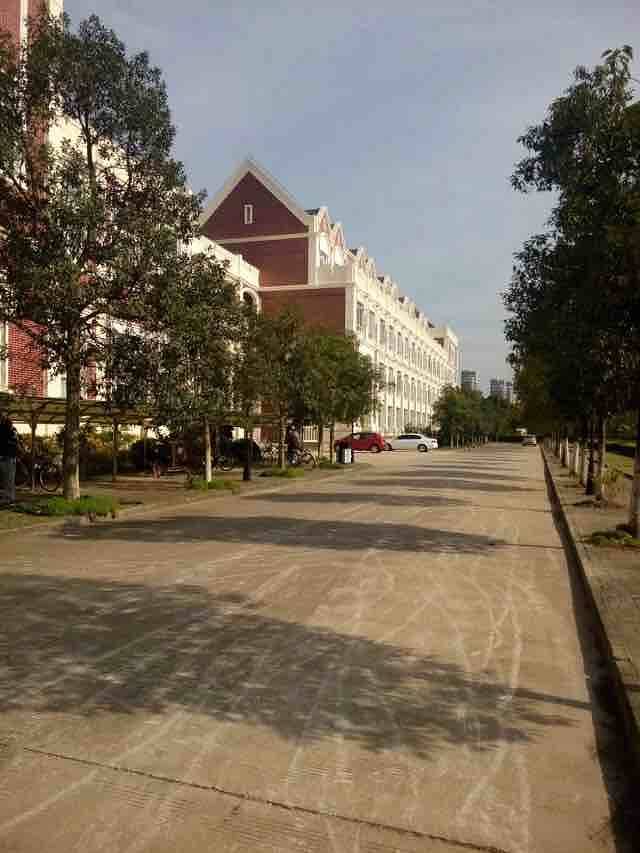 上海外国语大学