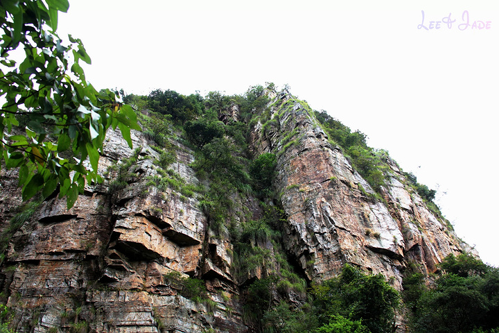 "...天飘降，轻柔，飘忽，无声无息……与雄伟壮阔的悬崖背景，刚柔并济，奇妙地融为一体，真叫人叹为观止_广东大峡谷"的评论图片