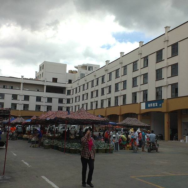 89 首页 购物详情 驴友们注意啦,三亚鸿港农贸市场已经搬迁了,搬迁