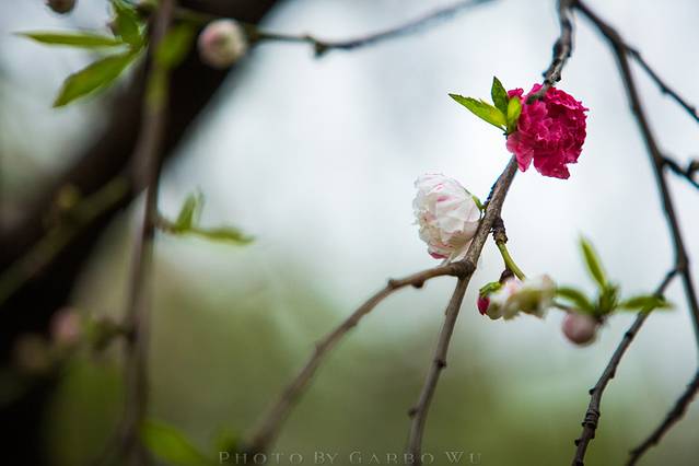 钟山风景区紫霞湖