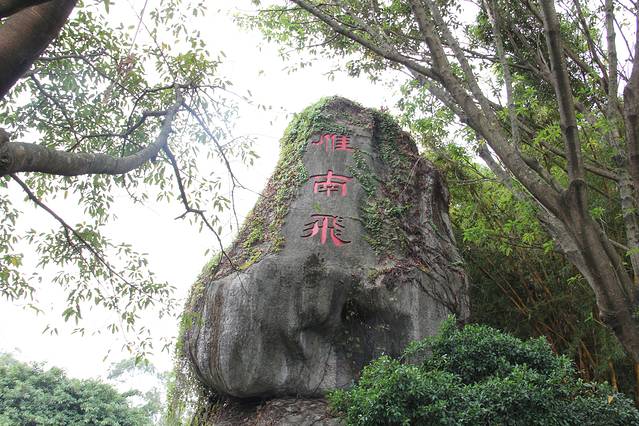 梅县雁南飞茶田景区