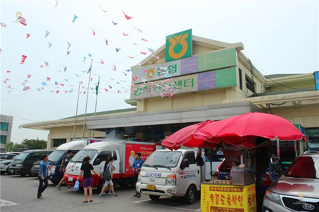 江华岛人参中心