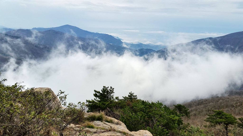 古称金仙顶,天柱峰,在西天目山绝顶,海拔1506米.