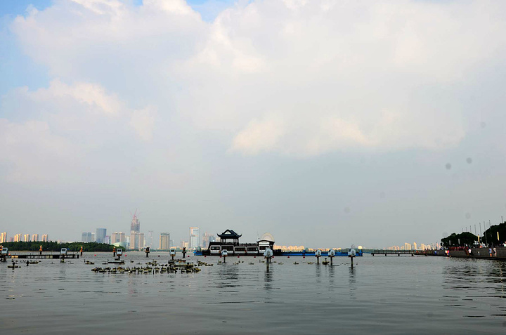 "...季风性湿润气候的因素的影响，夏季这里的气温特别闷热，因此我建议还是初夏或者春天到此游玩会比较好_金鸡湖"的评论图片