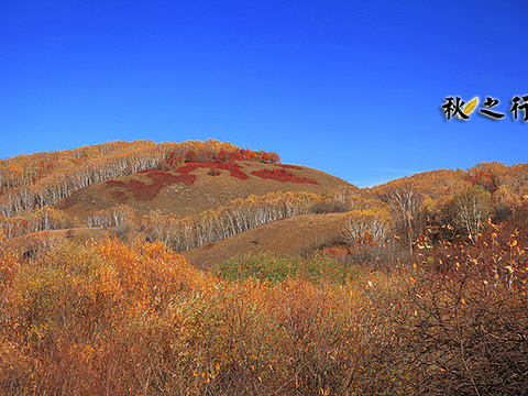 大峡谷旅游景点图片