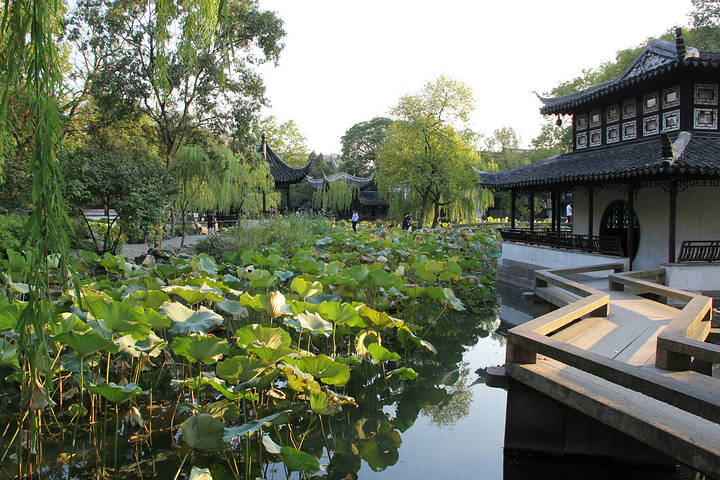 被誉为中国园林之母的拙政园苏州四大园林之一