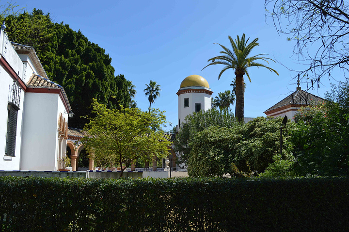 2017六人骑车,超好玩。每个参观的人关注点都