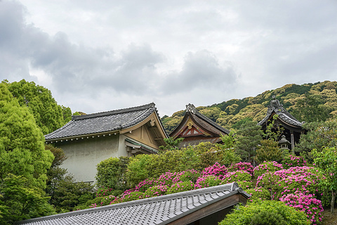 清水寺旅游景点攻略图