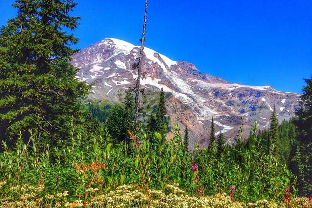 瑞尼尔山国家公园