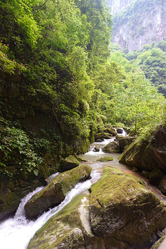 天生三桥旅游景点攻略图