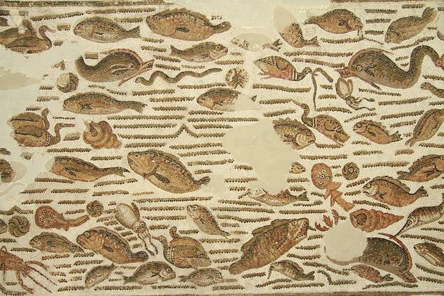 国立史前学与民族学博物馆