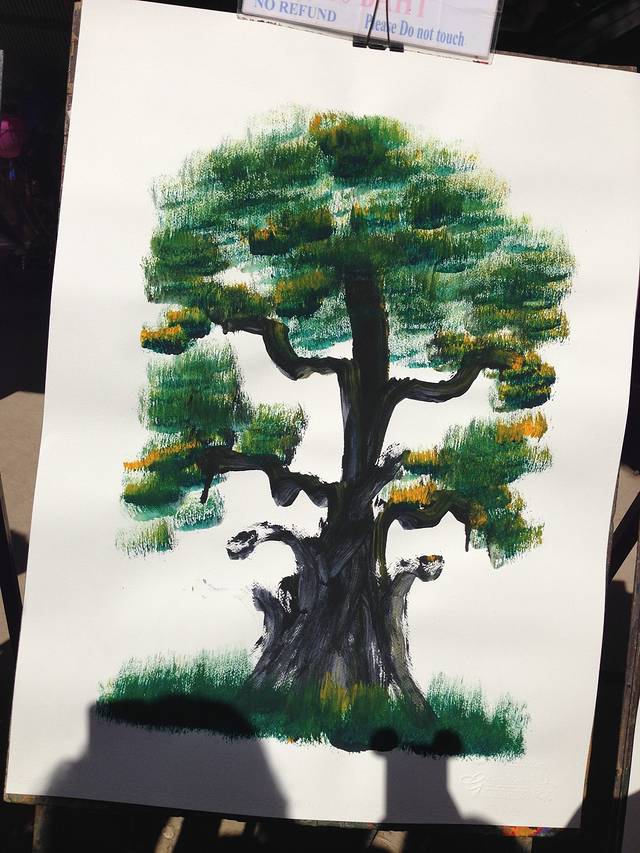 帕塔拉大象农场