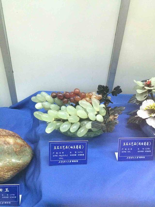 成都理工大学恐龙数字博物馆