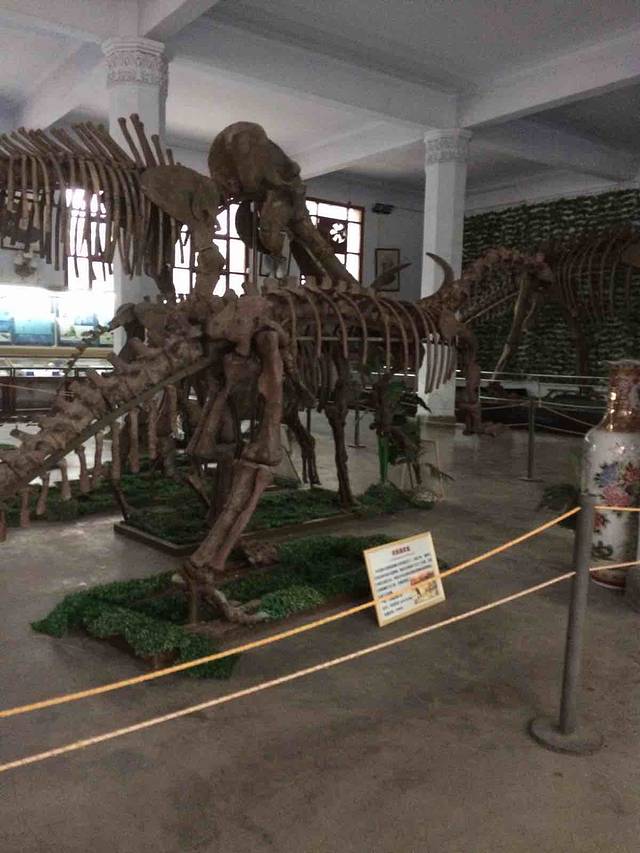 成都理工大学恐龙数字博物馆