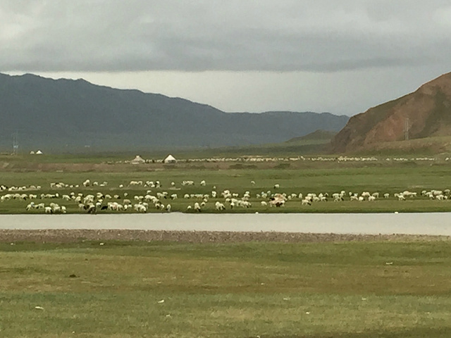 "...风景，但路吐险峻，崎岖蜿蜒，由于早上下了雨，中途有一段山体滑坡，抢险车现场抢险，耗时半个多小时_巴音布鲁克景区"的评论图片