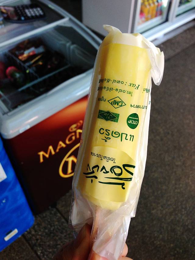 帕塔拉大象农场