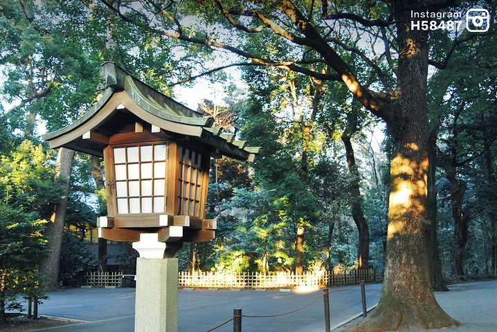 2024明治神宫游玩攻略,明治神宫(免费,日本的神社...【去哪儿攻略】