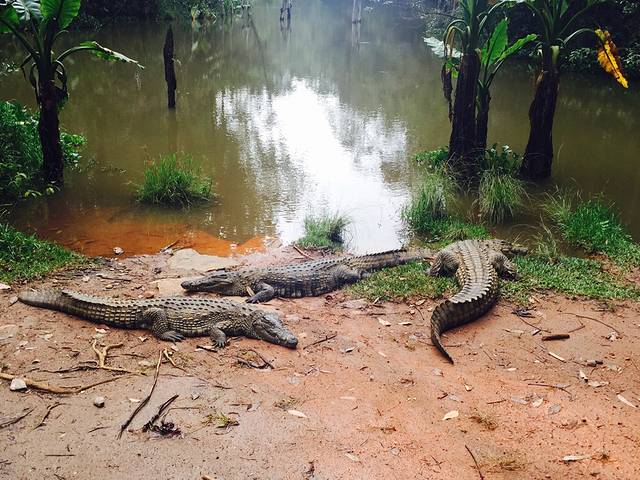 昂纳西贝国家森林公园