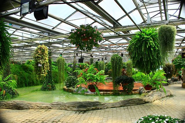 世界花卉大观园