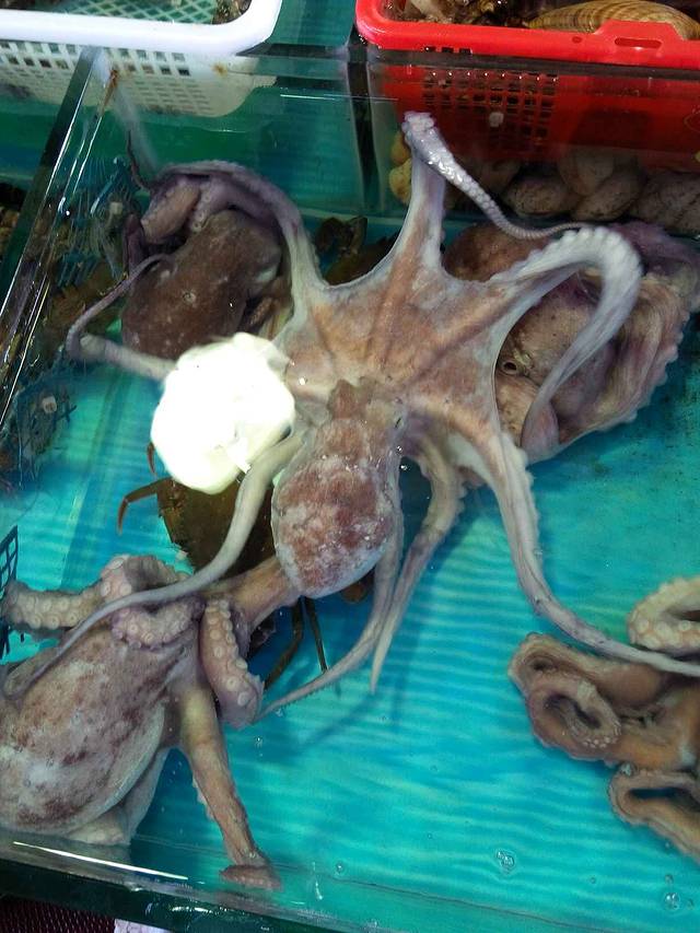 十九涌海鲜市场