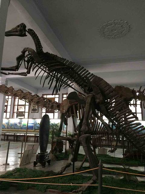 2017成都理工大学恐龙数字博物馆_旅游攻略_门票_地址_游记点评,成都