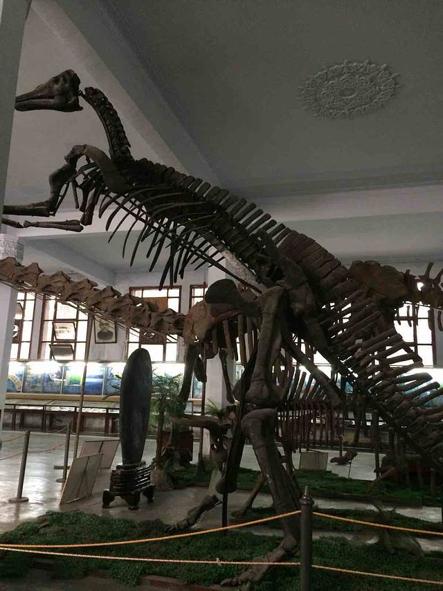 成都理工大学恐龙数字博物馆