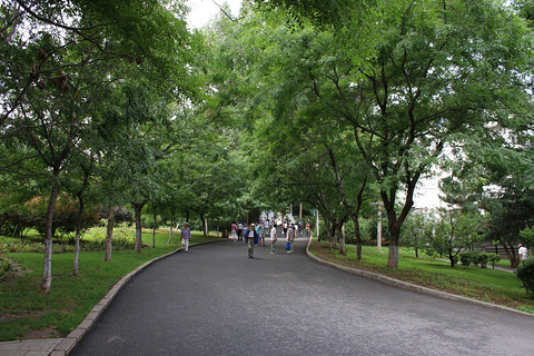 望溪公园旅游景点攻略图