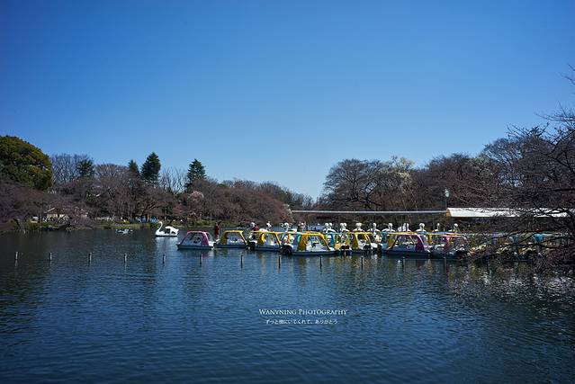 井之头自然文化公园