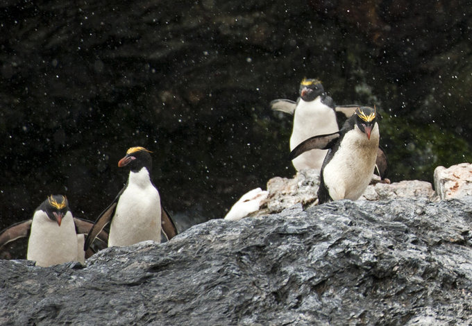 Cooper Bay图片 Cooper Bay图片