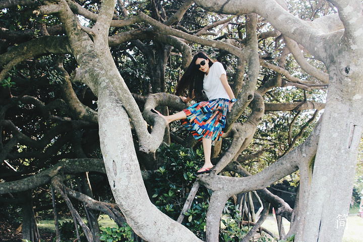 2017★在台湾部分景点是可以用大陆的学生证