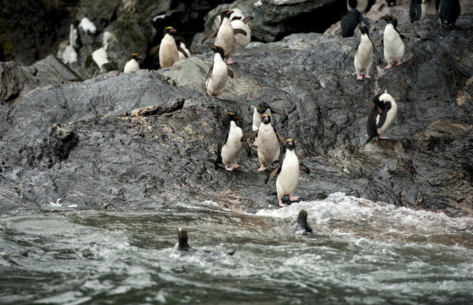 Cooper Bay图片 Cooper Bay图片