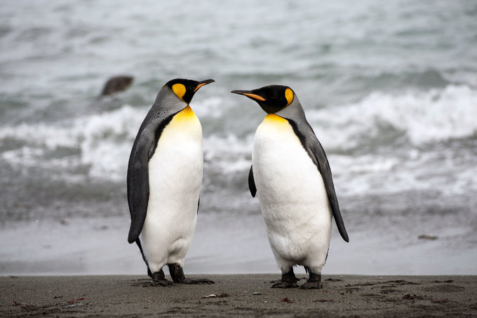科普时间图片 科普时间图片