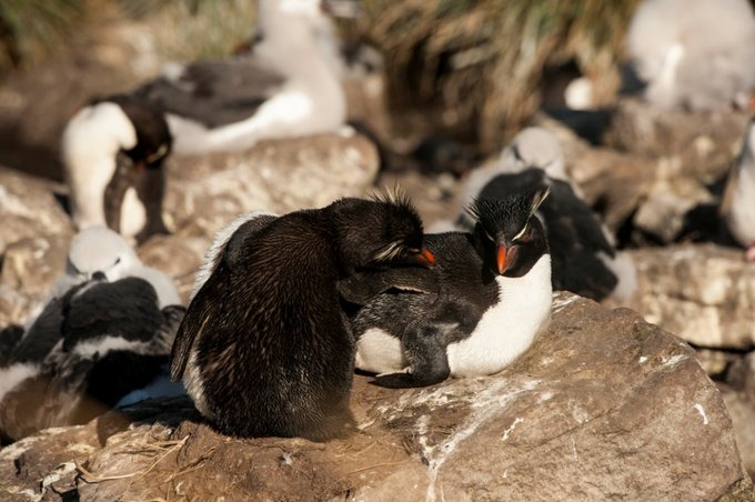 West Point岛图片 West Point岛图片