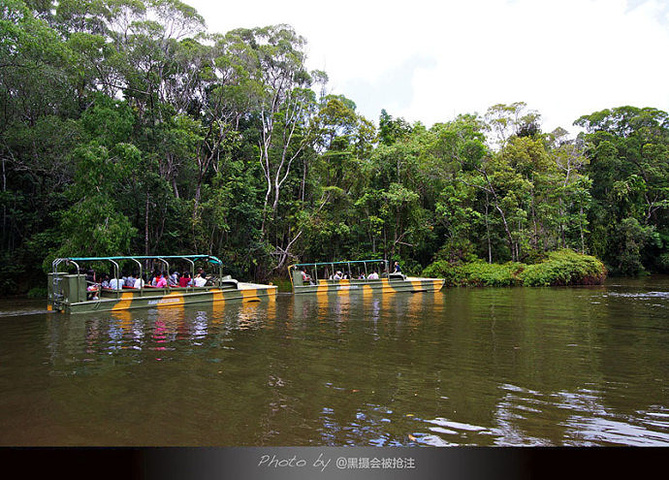 2017可以如此近距离的生活在雨林旁,是多么幸