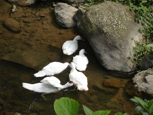 北溪文苑风景区